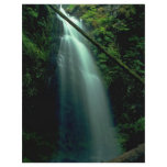 Steps And Water Full Color Flyer