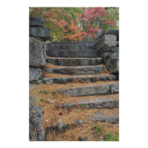 Steps covered in pine needles, White Mountain Art Photo