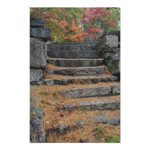 Steps covered in pine needles, White Mountain Art Photo
