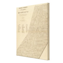 Stereogram of displacements Utah Stretched Canvas Print