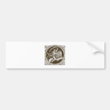 Sternzeichen Löwe zodiac leo lion Auto Sticker