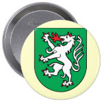 steyr, Austria Pin