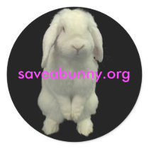 Stick up For Bunnies Round Sticker
