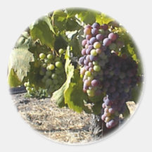 Sticker-August Grapes