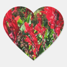 Sticker Bright Red Canna Flowers Blooms Heart Pho