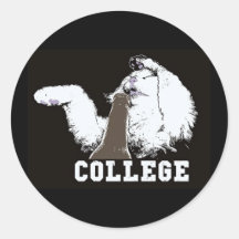 sticker - college - stuff on my cat