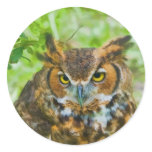 Sticker with Great Horned Owl