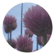 Stickers - Chives    Image 1