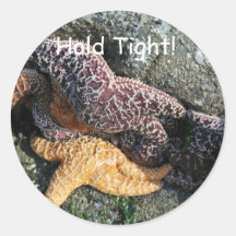 Stickers:  Starfish