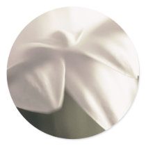 Stickers White Daisy Floral Photo template