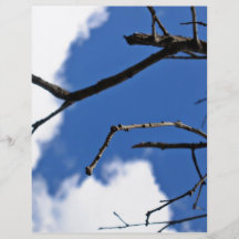 Sticks and Clouds Custom Flyer