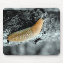 Sticky Situation Mousepad