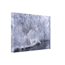 Sticky Snow 27 ~ Canvas Print