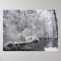 Sticky Snow 27 ~ Print