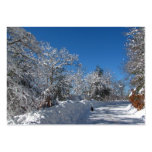 Sticky Snow 28 ~ ATC Business Card Templates