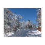 Sticky Snow 28 ~ postcard