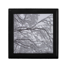 Sticky snow stuck to branches. keepsake boxes