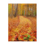 Still green, Autumn trails Post Cards