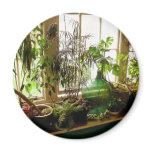 Still Life Magnet