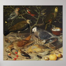 Still Life of Birds and Insects, 1637 Poster
