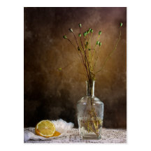 Still Life Postcards
