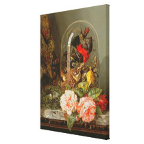 Still Life with Humming Bird in a Glass Dome canvas prints
