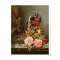 Still Life with Humming Bird in a Glass Dome posters