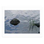 Still waters run deep post cards