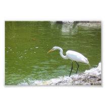 Stillness Photo