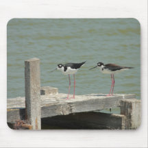 Stilts on the dock Mousepad