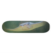 Sting Ray skateboard