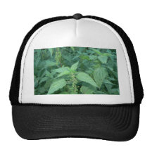 Stinging Nettles Mesh Hats