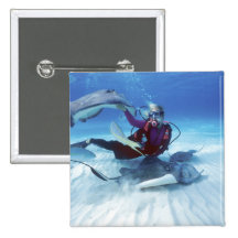 Stingray City, Grand Cayman, Cayman Islands, Buttons