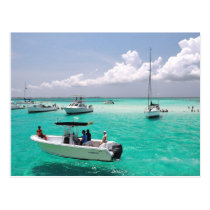 Stingray City Grand Cayman Islands Postcard postcards