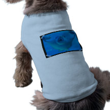Stingray Underwater Pet Shirt