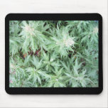 stink weed mouse pad