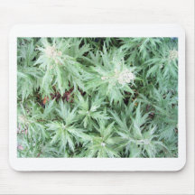 stink weed mouse pad