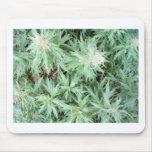 stink weed mouse pad