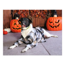 Stinky - Mixed Breed - Farber Personalized Invite