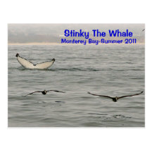 Stinky The Whale Postcard