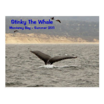 Stinky The Whale Postcard