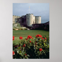 Stirling Castle, Scotland flowers Posters