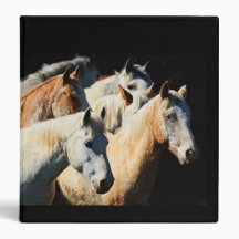 Stock 3 Ring Binder
