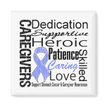 Stomach Cancer Caregivers Collage magnets