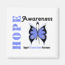 Stomach Cancer Hope Awareness Magnets