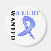 Stomach Cancer WANTED A CURE Magnets