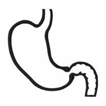 STOMACH POLO SHIRT