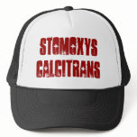 stomoxys calcitrans hat