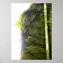 Stone and Ivy Poster