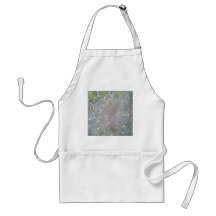 Stone and water aprons